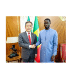 Senegal v Brazil: The Lions fall to Brazil (0-2) and see their unbeaten run come to an end